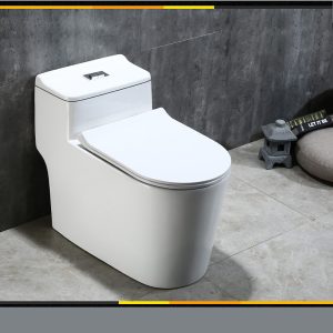 Bệt liền khối R 078 D (Cái)