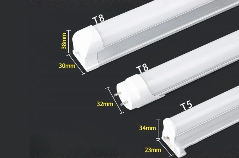 Bộ đèn tuýp led 20w T8 TT01 1.2m M21 Rạng Đông thủy tinh (Bộ)