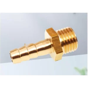 Đuôi chuột đồng (Cái)