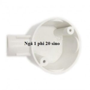 Ngã 1 phi 20 sino