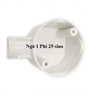 Ngã 1 Phi 25 sino